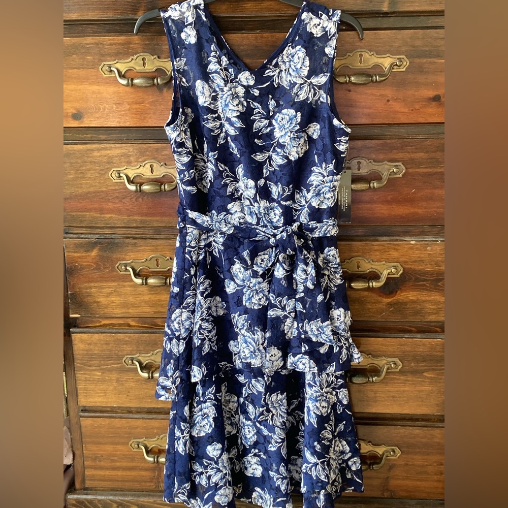 Tahari ASL 2-Tired Belted Lace Mesh Dress w/ Puff Print, Rose Garden